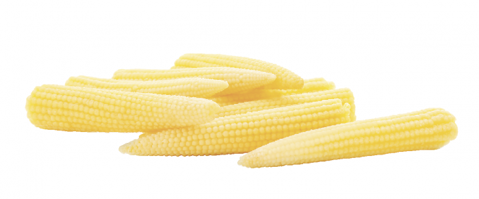 �������� ����, 125 �