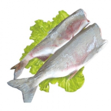  ���� ������������ ��� ������ ������� ����