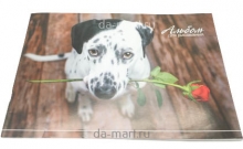  ������ ��� ��������� 40� �� �������