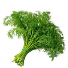  ����� ������ 30�