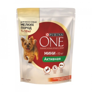  ���� ONE ���� �������� ������/��� 600�