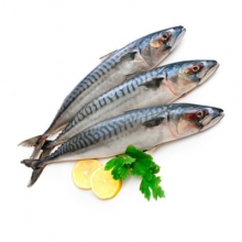  �������� ������������� ��������� 1����