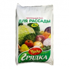  ����� �������-������� ���� ������ ��� ������� 10 �