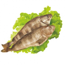  ������ �������������� ������������� 1����