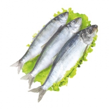  ������ ������������� ������������� ���������