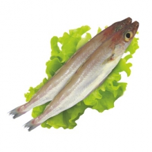  ������� �������������� 1�