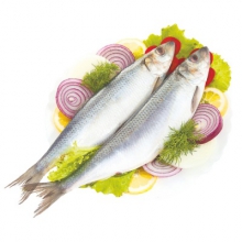  ������ ������������ ����������