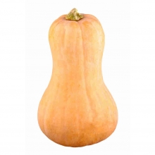  ����� ���������