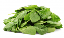  ����� ���� ������ 125�