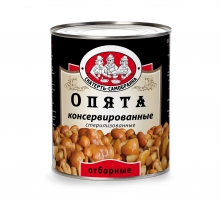  ����� ��������-���������� ��������������� 3,1 �