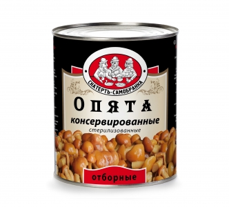   -  3,1 