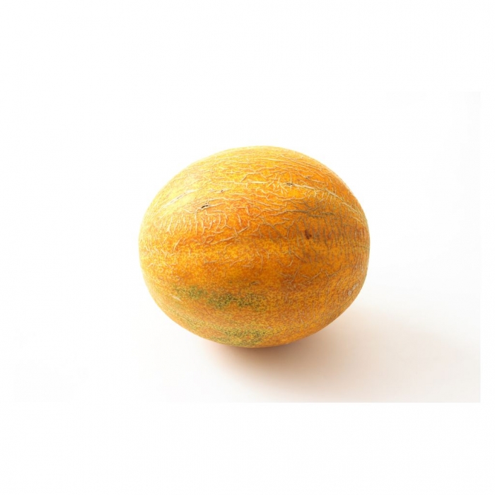 ���� ���������� ������ 