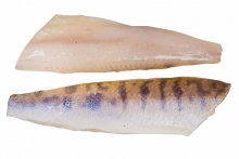  ����� ���� �� ���� �����������