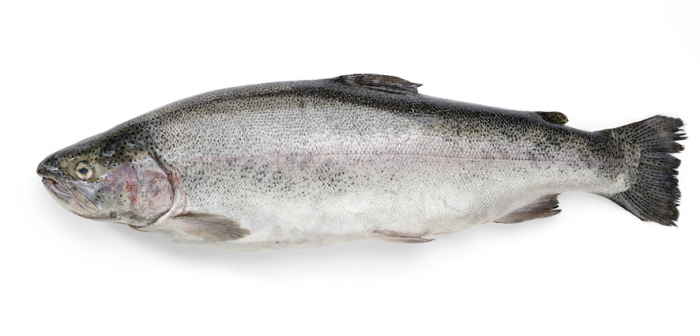 ������ �������� ������� ����, 2-3��