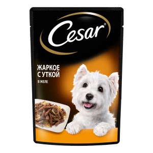   Cesar        85 