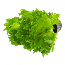  ����� ������� � ��������