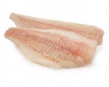  ���� ������ 520�