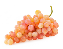  �������� ����� 1 ��