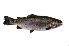  ������ ����� ~1,25 ��