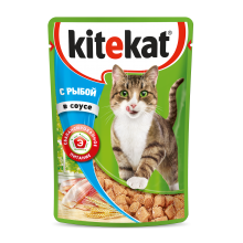  ���� ��� ����� Kitekat � ������� ��������� ���� � ����� 85�